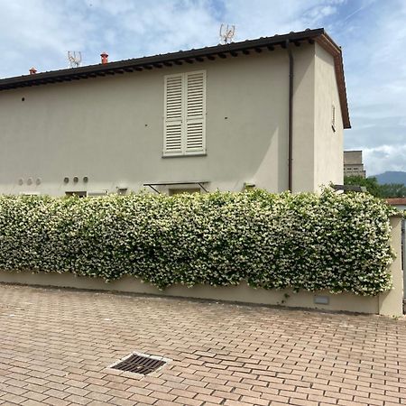 卢卡Casa Ariel别墅 外观 照片