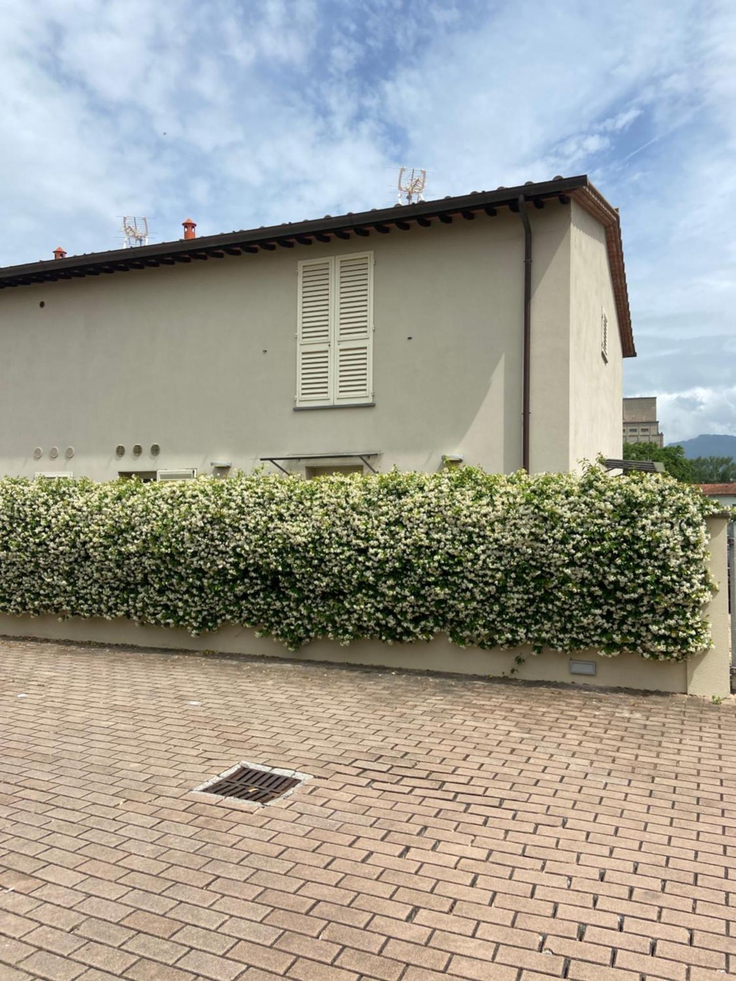 卢卡Casa Ariel别墅 外观 照片
